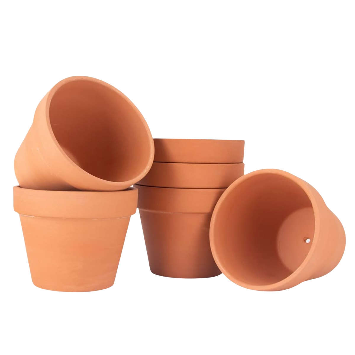 Echeveria Succulent - 6 adet 4 inç Pişmiş Toprak