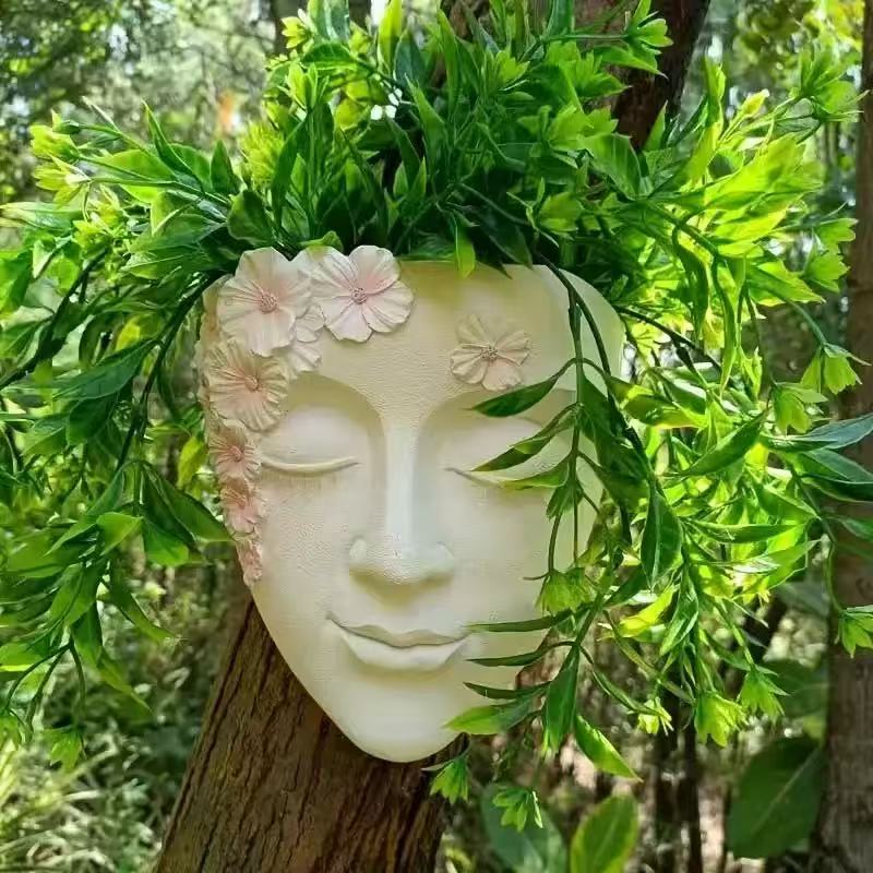 Echeveria Succulent - Yaratıcı Duvara Monte Yüz Saksı Yağmur