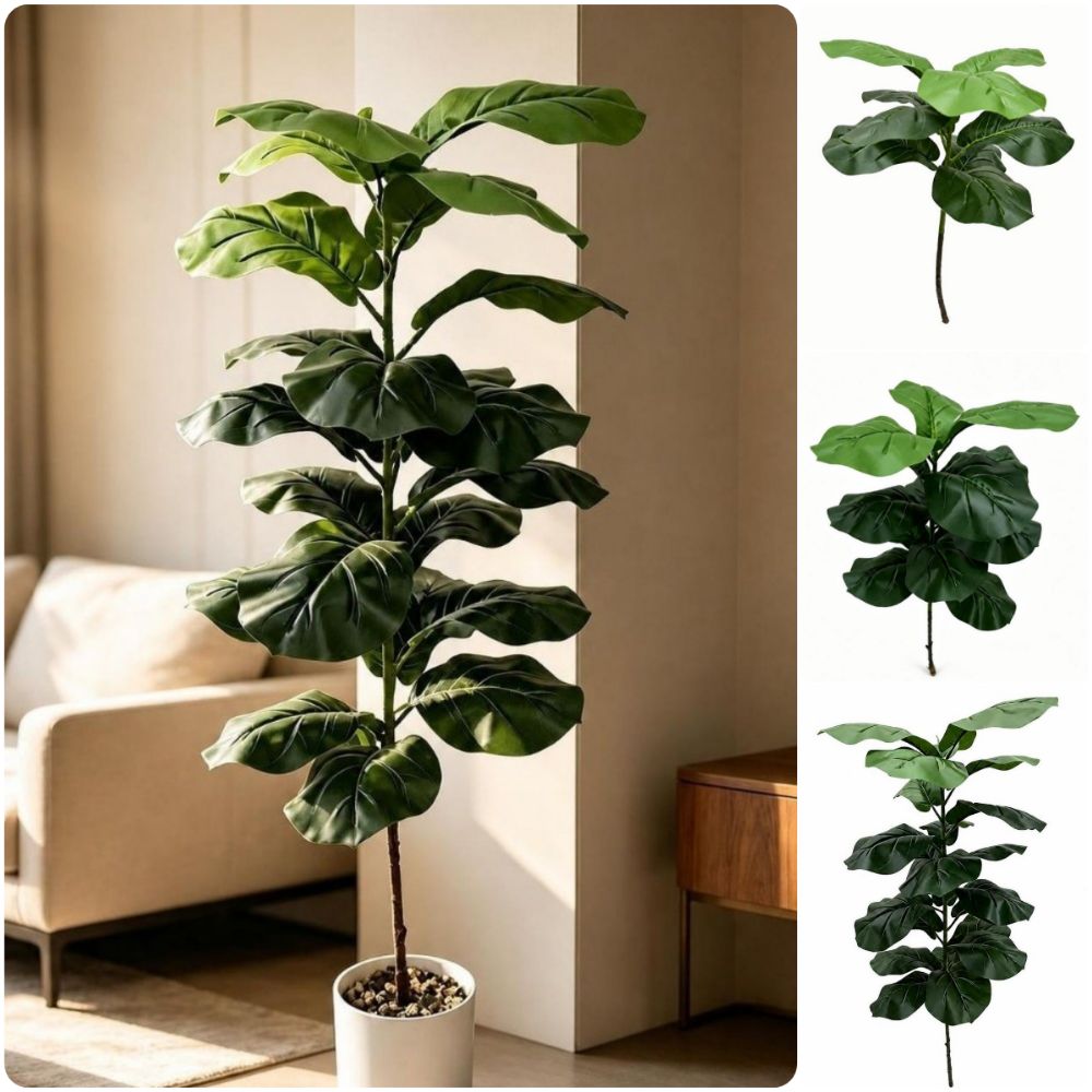 Ficus Lyrata Tree - 9/15/23 Yapay Ficus Lyrata Büyük Boy