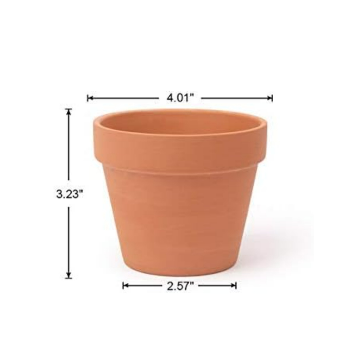 6 adet 4 inç Pişmiş Toprak Ten - Echeveria Succulent incelemesi ve fiyatı