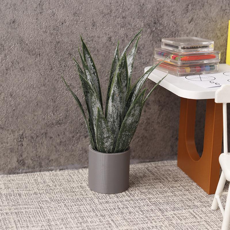 Minyatür Aloe Vera Saksı Bitki - Aloe Vera Pot incelemesi ve fiyatı