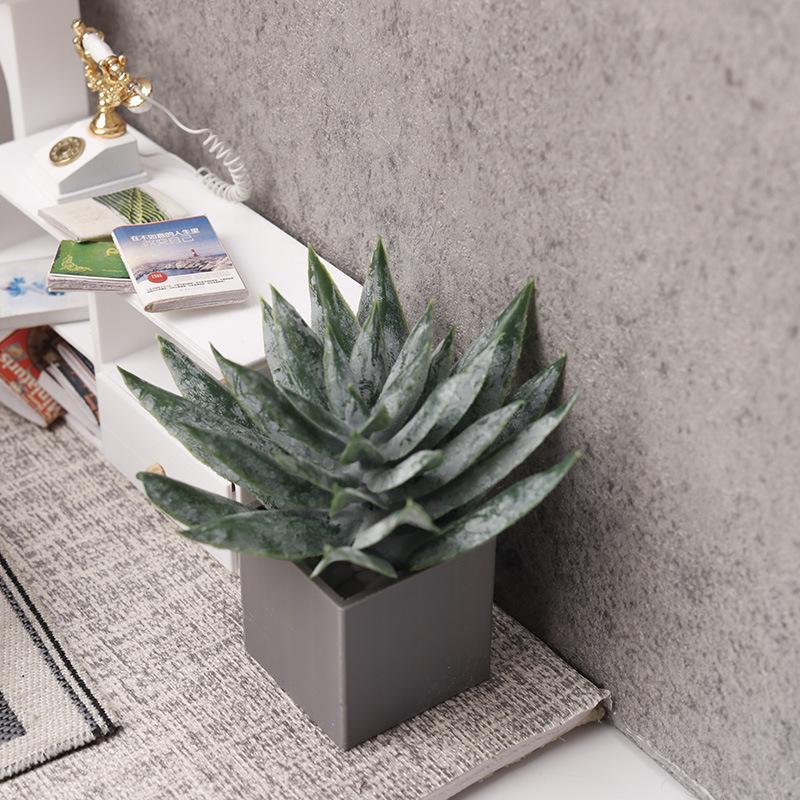 Minyatür Aloe Vera Saksı Bitki - Aloe Vera Pot incelemesi ve fiyatı