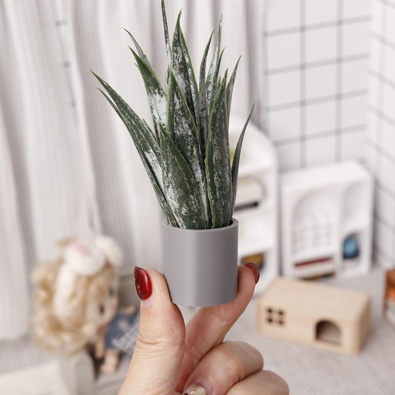 Minyatür Aloe Vera Saksı Bitki - Aloe Vera Pot incelemesi ve fiyatı