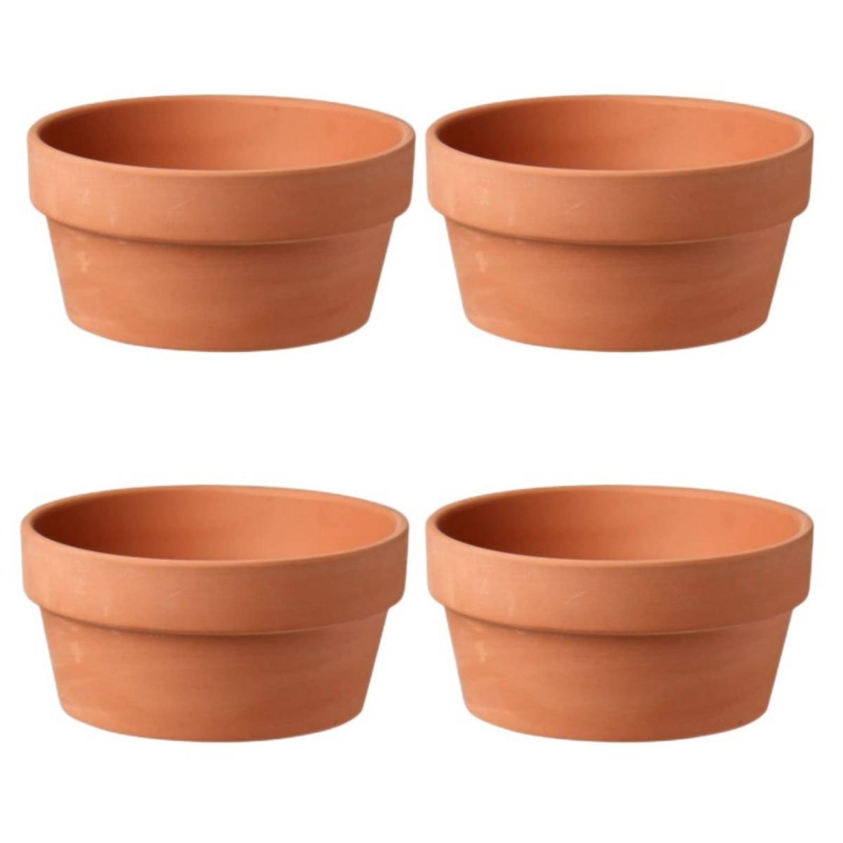 6 adet Terracotta Buld tencere - Echeveria Succulent incelemesi ve fiyatı