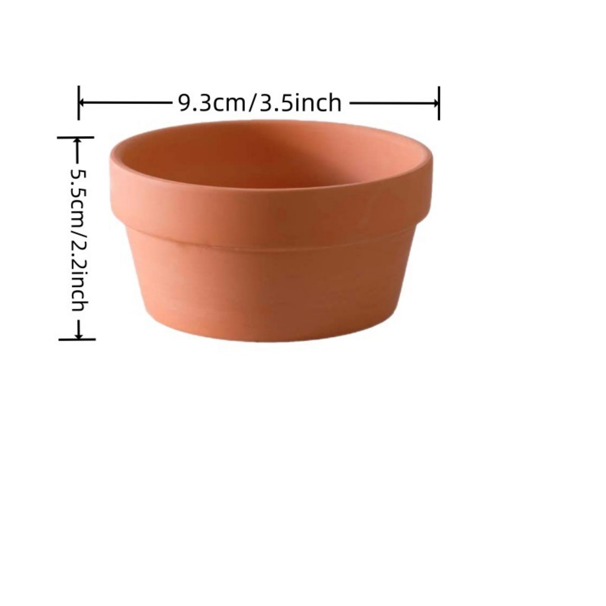 6 adet Terracotta Buld tencere - Echeveria Succulent incelemesi ve fiyatı