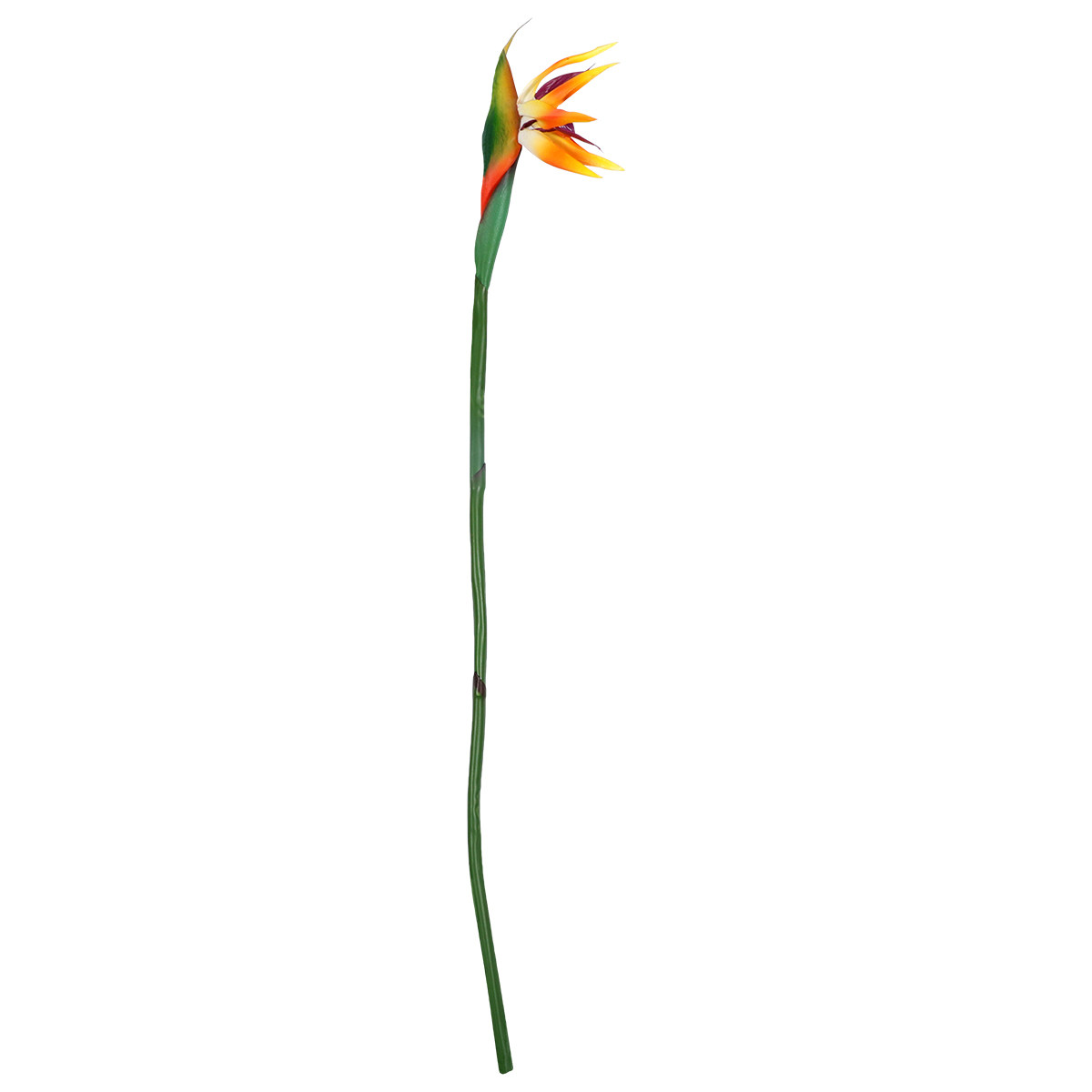 Gerçekçi Dokulu Yapay Cennet K - Bird Paradise Strelitzia incelemesi ve fiyatı