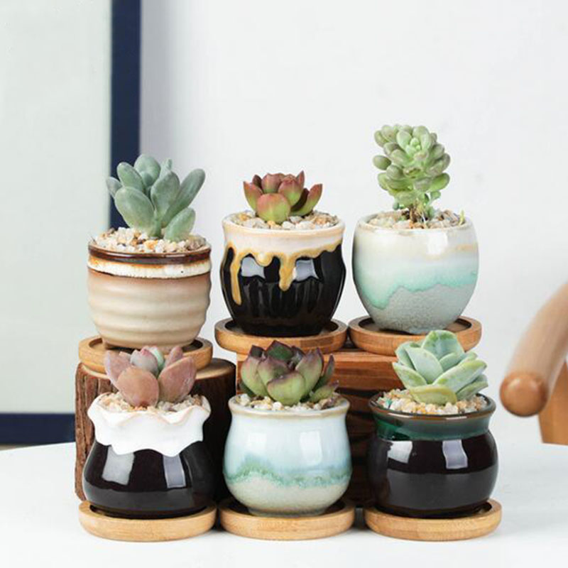 6 adet/takım Seramik Saksı Set - Echeveria Succulent incelemesi ve fiyatı