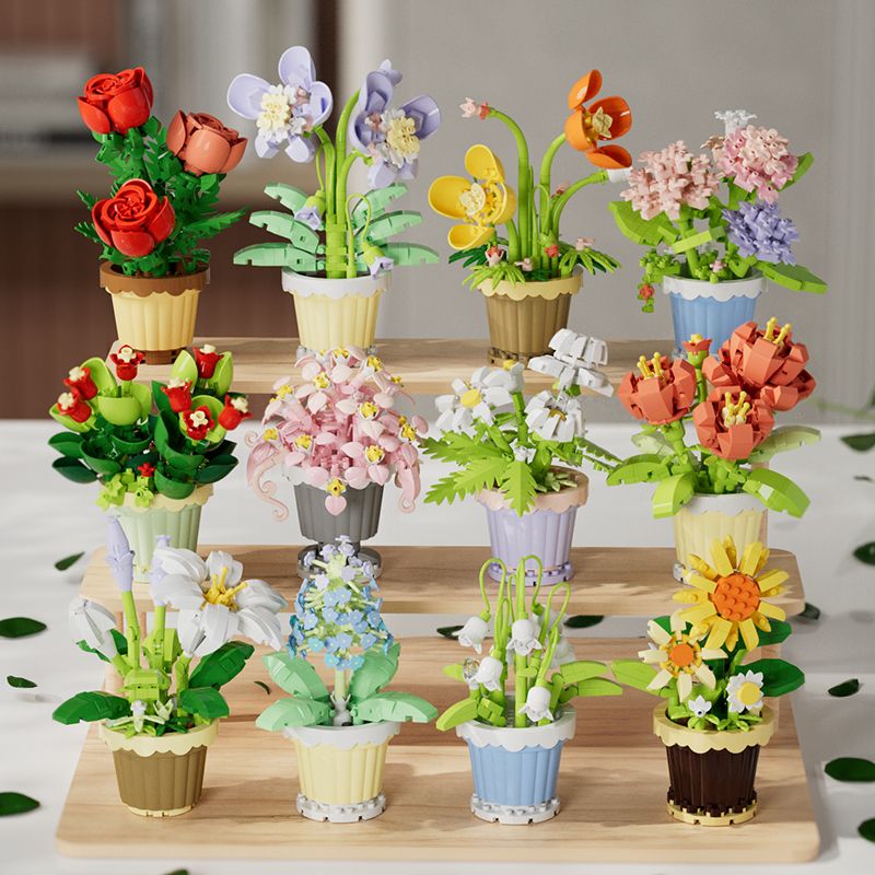 Mikro Parçacıklı Yapı Blokları - Echeveria Succulent incelemesi ve fiyatı