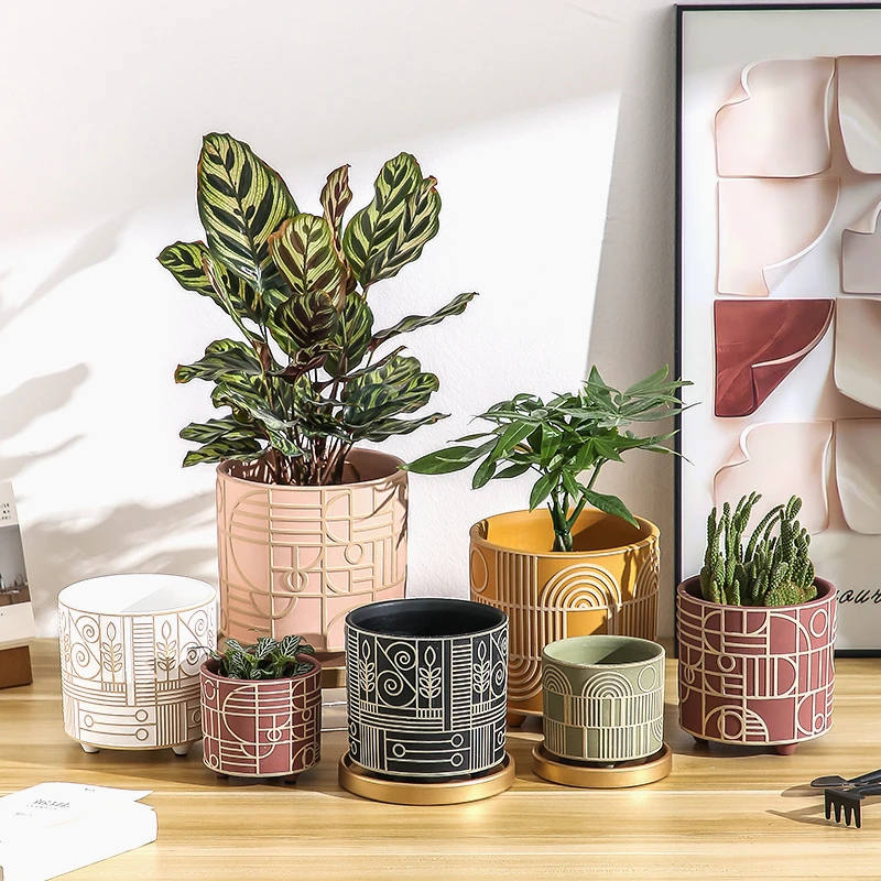 Basit Silindirik Seramik Saksı - Echeveria Succulent incelemesi ve fiyatı