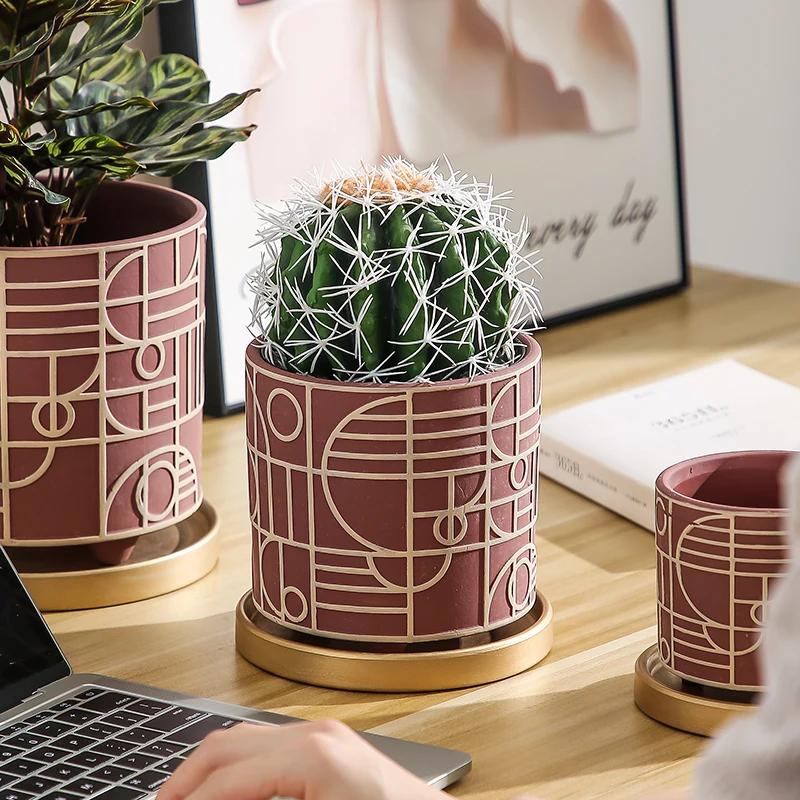 Basit Silindirik Seramik Saksı - Echeveria Succulent incelemesi ve fiyatı