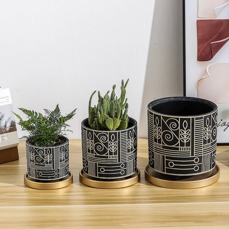 Basit Silindirik Seramik Saksı - Echeveria Succulent incelemesi ve fiyatı