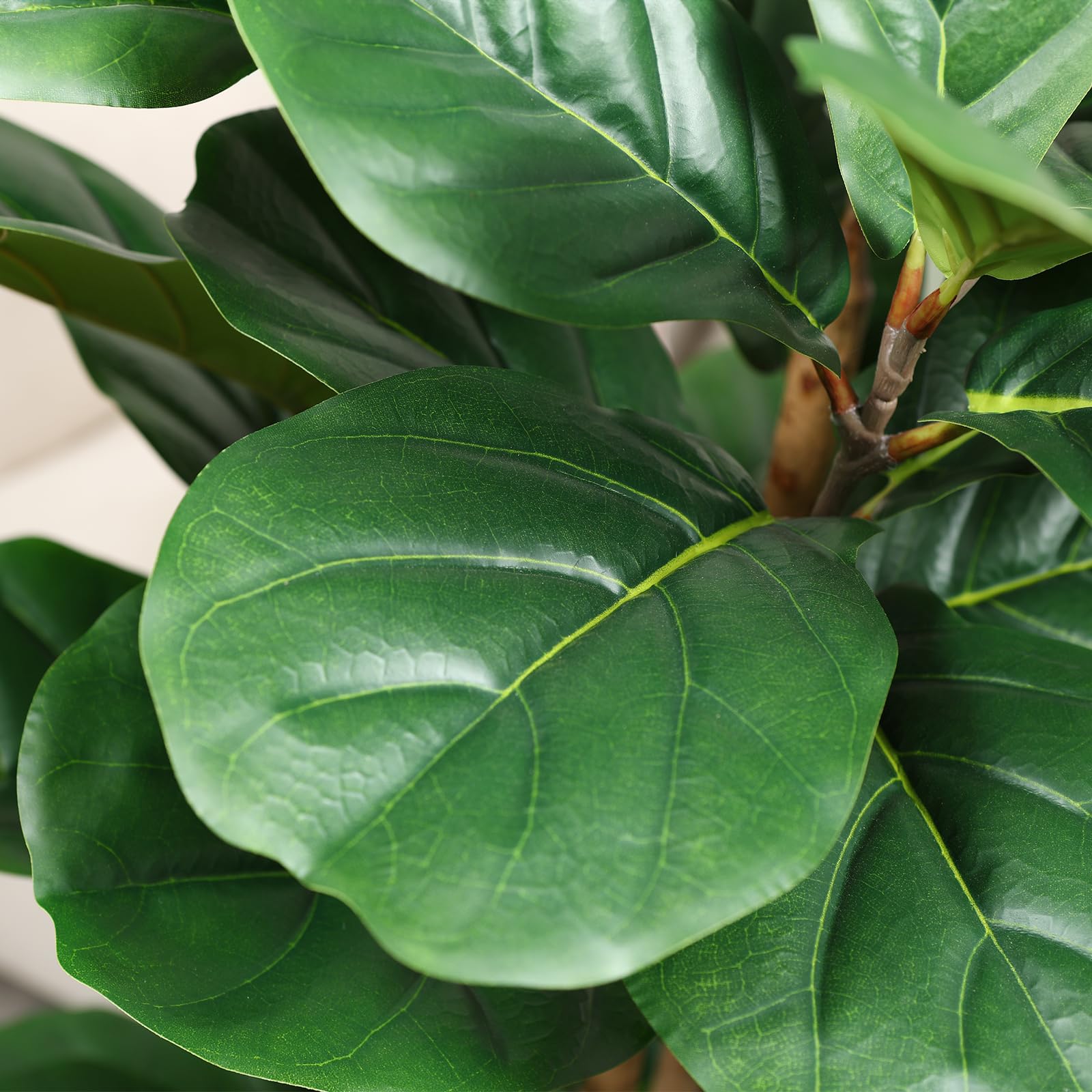 Beyaz Saksılı Yapay İncir Ağac - Ficus Lyrata Tree incelemesi ve fiyatı